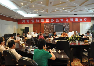 河南省棕剛玉行業(yè)協(xié)會常務(wù)理事會在伊川召開